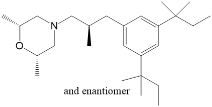 Amorolfine EP Impurity L
